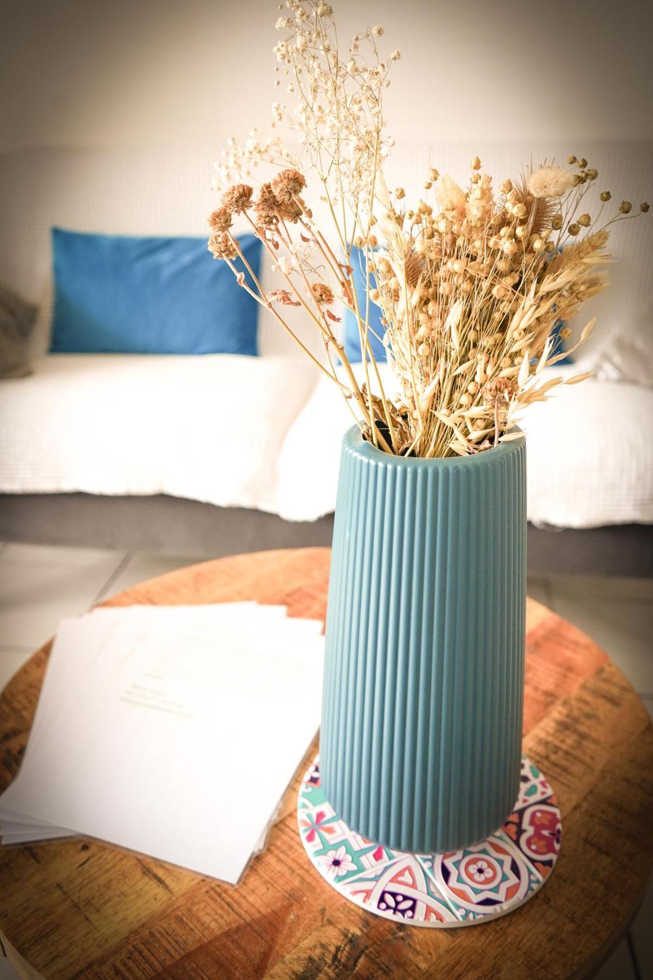 Bel Appartement Climatise & Parking 佩皮尼昂 外观 照片