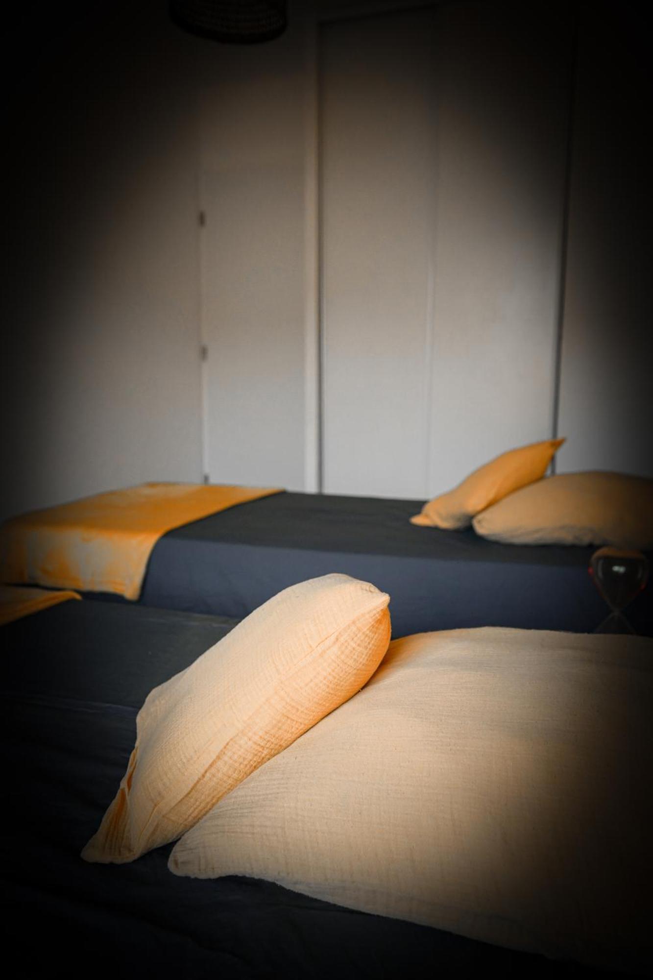 Bel Appartement Climatise & Parking 佩皮尼昂 外观 照片