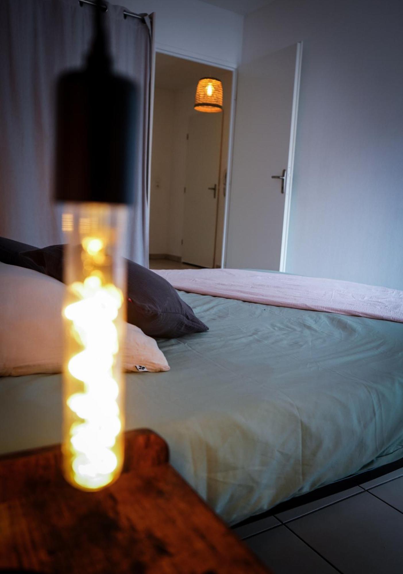 Bel Appartement Climatise & Parking 佩皮尼昂 外观 照片